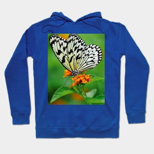 black butterfly Hoodie